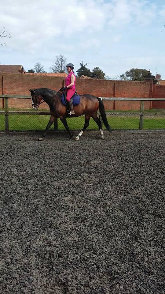 TB Ex Racer - Relaxed And Taking Training In its Stride